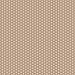 Galerie Wallcoverings Product Code 18511 - Into The Wild Wallpaper Collection - Beige Colours - Geo Hex Design