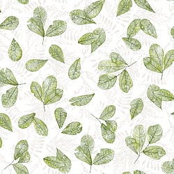 Galerie Wallcoverings Product Code 7305 - Evergreen Wallpaper Collection - Green Colours - Fossil Leaf Toss Design