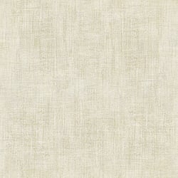 Galerie Wallcoverings Product Code CM27081 - Botanica Wallpaper Collection - Cream Colours - Bali Plain Design