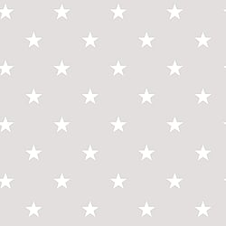 Galerie Wallcoverings Product Code G23109 - Deauville 2 Wallpaper Collection - Grey Beige White Colours - Deauville Star Design