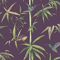 Galerie Wallcoverings Product Code G56410 - Global Fusion Wallpaper Collection -  Humming Birds Design