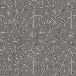 Galerie Wallcoverings Product Code G67698 - Special FX 2 Wallpaper Collection - Silver Grey Beige Colours - Glitter Web Design