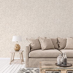 Galerie Wallcoverings Product Code G78100 - Texture Fx Wallpaper Collection - Beige Warm Grey White Colours - Scratch Texture Design