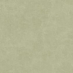 Galerie Wallcoverings Product Code IT32475 - Italian Textures 4 Wallpaper Collection - Green Colours - MURO CONGO Design