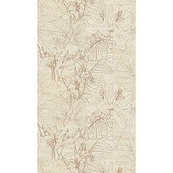 Galerie Wallcoverings Product Code WH45252M - Welcome Home Murals Wallpaper Collection - Beige, Brown, Cream Colours - Delicate Botanical Sketch Design