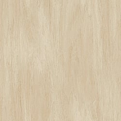 Galerie Wallcoverings Product Code WW22220 - The Woods And Wicker Wallpaper Collection - Cream Beige Colours - Wood Effect Motif Design