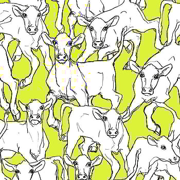 Galerie Wallcoverings Product Code 14105 - Marimekko Essentials Wallpaper Collection - Green White Black Colours -  