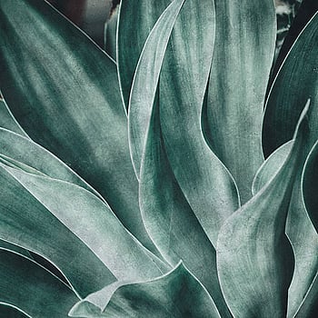 Galerie Wallcoverings Product Code 425796 - Exposed Wallpaper Collection -   