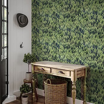Galerie Wallcoverings Product Code 45730 - Woods And Wicker Wallpaper Collection - Green Colours -  