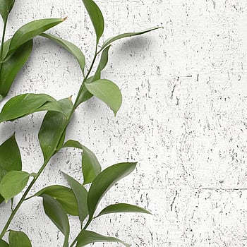 Galerie Wallcoverings Product Code DB32900 - Daisy Bennett Wallpaper Collection - Whites & Off Whites Colours -  