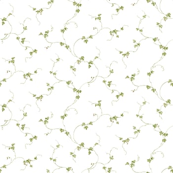 Galerie Wallcoverings Product Code FK34437 - Fresh Kitchens 5 Wallpaper Collection -   