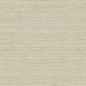 Galerie Wallcoverings Product Code G45419 - Natural FX 2 Wallpaper Collection - Beige Colours -  