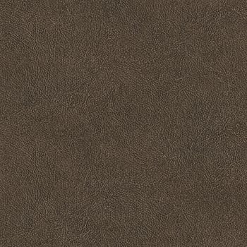 Galerie Wallcoverings Product Code TA25025 - Shades Of Colour Wallpaper Collection - brown Colours -  